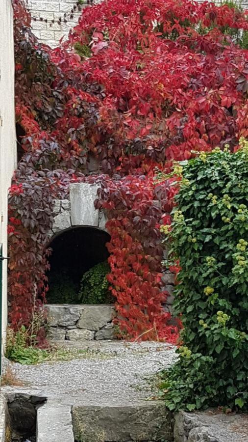 Auberge Du Riou Puget-Rostang Kültér fotó