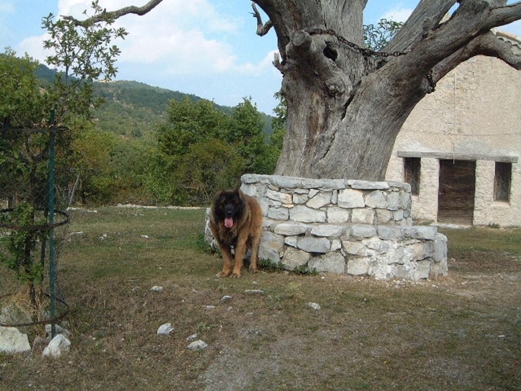 Auberge Du Riou Puget-Rostang Kültér fotó